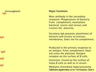 Immunoglobulin Major Functions
IgG
IgA
IgM
IgD
IgE
Main antibody in the secondary
response. Phagocytosis of bacteria,
Fixes complement, neutralizes
bacterial toxins and viruses and
crosses the placenta.
Secretory IgA prevents attachment of
bacteria and viruses to mucous
membranes. Does not fix complement.
Produced in the primary response to
an antigen. Fixes complement. Does
not cross the placenta. Antigen
receptor on the surface of B cells.
Uncertain. Found on the surface of
many B cells as well as in serum.
Mediates immediate hypersensitivity
DefeBniodchsemaistgryaFionrMsetdicws o7r/m11/2i0n1f2ections. Doe47s
 