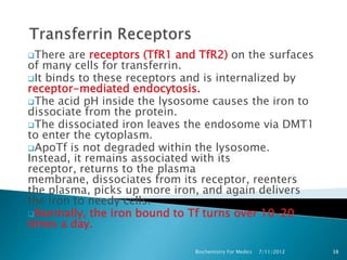 There  are receptors (TfR1 and TfR2) on the surfaces
of many cells for transferrin.
It binds to these receptors and is internalized by
receptor-mediated endocytosis.
The acid pH inside the lysosome causes the iron to
dissociate from the protein.
The dissociated iron leaves the endosome via DMT1
to enter the cytoplasm.
ApoTf is not degraded within the lysosome.
Instead, it remains associated with its
receptor, returns to the plasma
membrane, dissociates from its receptor, reenters
the plasma, picks up more iron, and again delivers
the iron to needy cells.
Normally, the iron bound to Tf turns over 10–20
times a day.

                               Biochemistry For Medics   7/11/2012   38
 