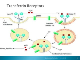 Biochemistry For Medics   7/11/2012   39
 
