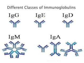 Biochemistry For Medics   7/11/2012   46
 