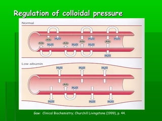 Regulation of colloidal pressure




     Gaw: Clinical Biochemistry; Churchill Livingstone (1999), p. 44.
 
