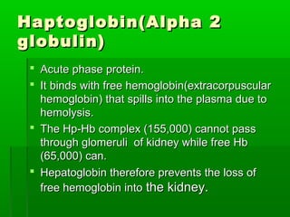 Haptoglobin(Alpha 2
globulin)
  Acute phase protein.
  It binds with free hemoglobin(extracorpuscular
   hemoglobin) that spills into the plasma due to
   hemolysis.
  The Hp-Hb complex (155,000) cannot pass
   through glomeruli of kidney while free Hb
   (65,000) can.
  Hepatoglobin therefore prevents the loss of
   free hemoglobin into the kidney.
 