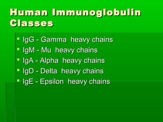 Human Immunoglobulin
Classes
    IgG - Gamma heavy chains
    IgM - Mu heavy chains
    IgA - Alpha heavy chains
    IgD - Delta heavy chains
    IgE - Epsilon heavy chains
 