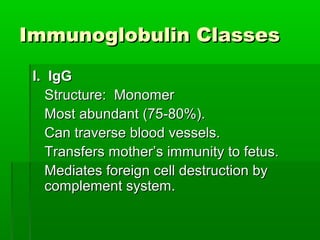 Immunoglobulin Classes

 I. IgG
    Structure: Monomer
    Most abundant (75-80%).
    Can traverse blood vessels.
    Transfers mother’s immunity to fetus.
    Mediates foreign cell destruction by
    complement system.
 