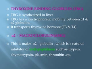  THYROXINE-BINDING GLOBULIN (TBG)
 TBG is synthesized in liver
 TBG has a electrophoretic mobility between α1 &
α2 globulins
 It transports thyroxine hormone(T3 & T4)
 α2 - MACROGLOBULIN(AMG)
 This is major α2 - globulin , which is a natural
inhibitor of endopeptidases such as trypsin,
chymotrypsin, plasmin, thrombin .etc.
 