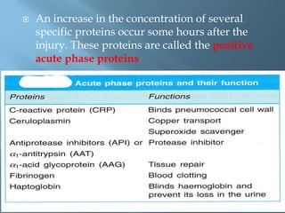  An increase in the concentration of several
specific proteins occur some hours after the
injury. These proteins are called the positive
acute phase proteins
 