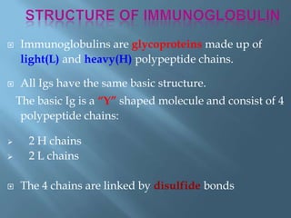  Immunoglobulins are glycoproteins made up of
light(L) and heavy(H) polypeptide chains.
 All Igs have the same basic structure.
The basic Ig is a “Y” shaped molecule and consist of 4
polypeptide chains:
 2 H chains
 2 L chains
 The 4 chains are linked by disulfide bonds
 