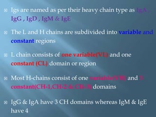  Igs are named as per their heavy chain type as IgA ,
IgG , IgD , IgM & IgE
 The L and H chains are subdivided into variable and
constant regions
 L chain consists of one variable(VL) and one
constant (CL) domain or region
 Most H-chains consist of one variable(VH) and 3
constant(CH-1,CH-2 & CH-3) domains
 IgG & IgA have 3 CH domains whereas IgM & IgE
have 4
 
