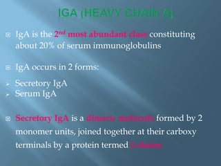  IgA is the 2nd most abundant class constituting
about 20% of serum immunoglobulins
 IgA occurs in 2 forms:
 Secretory IgA
 Serum IgA
 Secretory IgA is a dimeric molecule formed by 2
monomer units, joined together at their carboxy
terminals by a protein termed J-chains
 