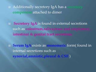  Additionally secretory IgA has a secretory
component attached to dimer
 Secretory IgA is found in external secretions
such as colostrum,saliva,tears and respiratory ,
intestinal & genital tract secretions
 Serum IgA exists as monomeric form( found in
internal secretions such as
synovial,amniotic,pleural & CSF )
 