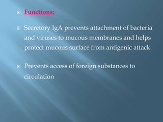  Functions:
 Secretory IgA prevents attachment of bacteria
and viruses to mucous membranes and helps
protect mucous surface from antigenic attack
 Prevents access of foreign substances to
circulation
 