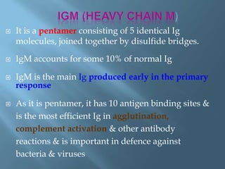  It is a pentamer consisting of 5 identical Ig
molecules, joined together by disulfide bridges.
 IgM accounts for some 10% of normal Ig
 IgM is the main Ig produced early in the primary
response
 As it is pentamer, it has 10 antigen binding sites &
is the most efficient Ig in agglutination,
complement activation & other antibody
reactions & is important in defence against
bacteria & viruses
 