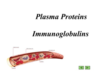Plasma Proteins 
Immunoglobulins 
 