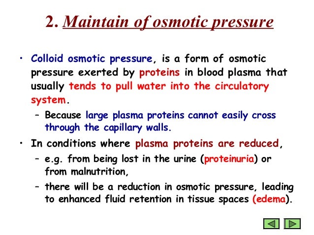Plasma proteins