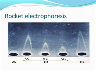 Rocket electrophoresis
 