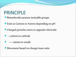 PRINCIPLE
Biomolecules possess ionizable groups
Exist as Cations or Anions depending on pH
Charged particles move to opposite electrode
 -- cations to cathode
 ---- anions to anode
Movement based on charge/mass ratio
 