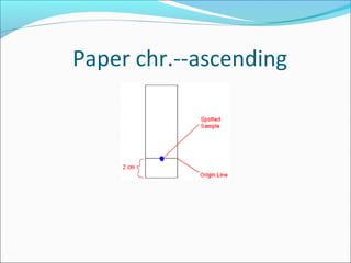 Paper chr.--ascending
 