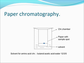 Paper chromatography.
Chr.chamber
Paper with
sample spot
solvent
Solvent for amino acid chr. : butanol:acetic acid:water 12/3/5
 