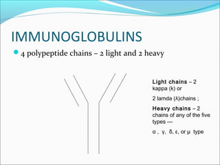 IMMUNOGLOBULINS
4 polypeptide chains – 2 light and 2 heavy
Light chains – 2
kappa (k) or
2 lamda (λ)chains ;
Heavy chains – 2
chains of any of the five
types ---
α , γ, δ, ε, or µ type
 
