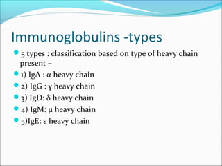 Immunoglobulins -types
5 types : classification based on type of heavy chain
present –
1) IgA : α heavy chain
2) IgG : γ heavy chain
3) IgD: δ heavy chain
4) IgM: µ heavy chain
5)IgE: ε heavy chain
 