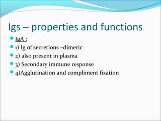 Igs – properties and functions
IgA :
1) Ig of secretions –dimeric
2) also present in plasma
3) Secondary immune response
4)Agglutination and compliment fixation
 