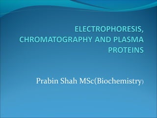 Prabin Shah MSc(Biochemistry)
 