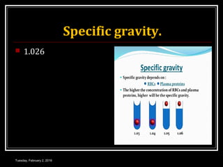 Specific gravity.
 1.026
Tuesday, February 2, 2016
 