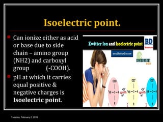 Isoelectric point.
 Can ionize either as acid
or base due to side
chain – amino group
(NH2) and carboxyl
group (-COOH).
 pH at which it carries
equal positive &
negative charges is
Isoelectric point.
Tuesday, February 2, 2016
 