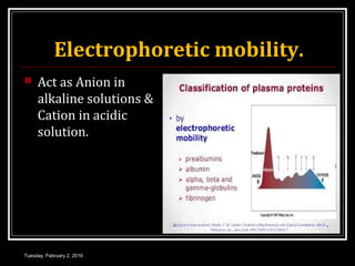 Electrophoretic mobility.
 Act as Anion in
alkaline solutions &
Cation in acidic
solution.
Tuesday, February 2, 2016
 