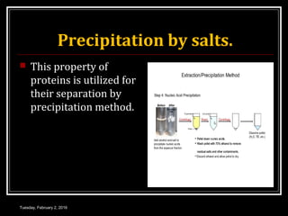 Precipitation by salts.
 This property of
proteins is utilized for
their separation by
precipitation method.
Tuesday, February 2, 2016
 