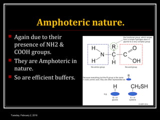 Amphoteric nature.
 Again due to their
presence of NH2 &
COOH groups.
 They are Amphoteric in
nature.
 So are efficient buffers.
Tuesday, February 2, 2016
 