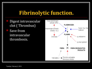 Fibrinolytic function.
 Digest intravascular
clot ( Thrombus)
 Save from
intravascular
thrombosis.
Tuesday, February 2, 2016
 