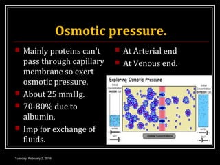 Osmotic pressure.
 Mainly proteins can't
pass through capillary
membrane so exert
osmotic pressure.
 About 25 mmHg.
 70-80% due to
albumin.
 Imp for exchange of
fluids.
 At Arterial end
 At Venous end.
Tuesday, February 2, 2016
 