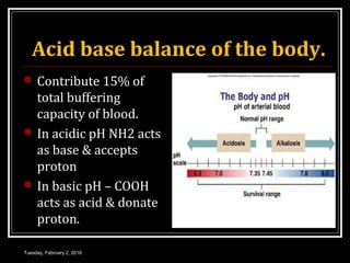 Acid base balance of the body.
 Contribute 15% of
total buffering
capacity of blood.
 In acidic pH NH2 acts
as base & accepts
proton
 In basic pH – COOH
acts as acid & donate
proton.
Tuesday, February 2, 2016
 