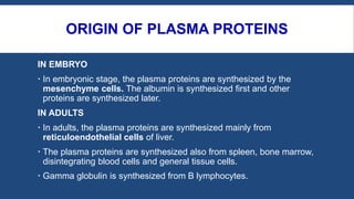 ORIGIN OF PLASMA PROTEINS
IN EMBRYO
 In embryonic stage, the plasma proteins are synthesized by the
mesenchyme cells. The albumin is synthesized first and other
proteins are synthesized later.
IN ADULTS
 In adults, the plasma proteins are synthesized mainly from
reticuloendothelial cells of liver.
 The plasma proteins are synthesized also from spleen, bone marrow,
disintegrating blood cells and general tissue cells.
 Gamma globulin is synthesized from B lymphocytes.
 