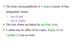 ▪ The basic immunoglobulin is Y shaped consist of four
polypeptide chains:
– two H and
– two L chains
▪ The four chains are linked by disulfide bond
▪ L chain may be either of two types, Kappa (қ) or
Lambda (λ) but not both
 