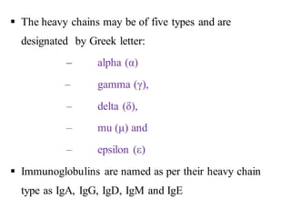 ▪ The heavy chains may be of five types and are
designated by Greek letter:
– alpha (α)
– gamma (γ),
– delta (δ),
– mu (μ) and
– epsilon (ε)
▪ Immunoglobulins are named as per their heavy chain
type as IgA, IgG, IgD, IgM and IgE
 