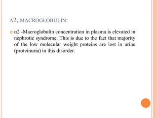 Α2, MACROGLOBULIN:
 α2 -Macroglobulin concentration in plasma is elevated in
nephrotic syndrome. This is due to the fact that majority
of the low molecular weight proteins are lost in urine
(proteinuria) in this disorder.
 