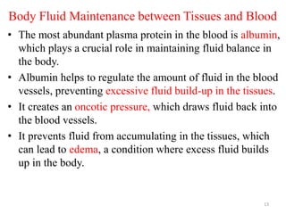 Body Fluid Maintenance between Tissues and Blood
• The most abundant plasma protein in the blood is albumin,
which plays a crucial role in maintaining fluid balance in
the body.
• Albumin helps to regulate the amount of fluid in the blood
vessels, preventing excessive fluid build-up in the tissues.
• It creates an oncotic pressure, which draws fluid back into
the blood vessels.
• It prevents fluid from accumulating in the tissues, which
can lead to edema, a condition where excess fluid builds
up in the body.
13
 