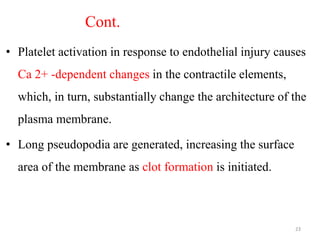 Cont.
• Platelet activation in response to endothelial injury causes
Ca 2+ -dependent changes in the contractile elements,
which, in turn, substantially change the architecture of the
plasma membrane.
• Long pseudopodia are generated, increasing the surface
area of the membrane as clot formation is initiated.
23
 