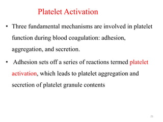Platelet Activation
• Three fundamental mechanisms are involved in platelet
function during blood coagulation: adhesion,
aggregation, and secretion.
• Adhesion sets off a series of reactions termed platelet
activation, which leads to platelet aggregation and
secretion of platelet granule contents
25
 