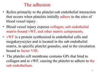 The adhesion
• Refers primarily to the platelet-sub endothelial interaction
that occurs when platelets initially adhere to the sites of
blood vessel injury .
• Blood vessel injury exposes collagen, sub endothelial
matrix-bound vWF, and other matrix components.
• vWF is a protein synthesized in endothelial cells and
megakaryocytes and is located in the sub endothelial
matrix, in specific platelet granules, and in the circulation
bound to factor VIII.
• The platelet cell membrane contains GPs that bind to
collagen and to vWF, causing the platelet to adhere to the
sub endothelium.
26
 