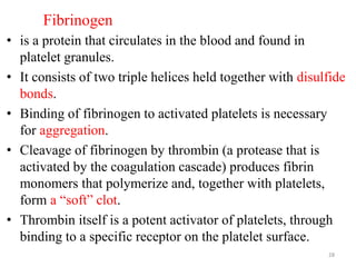 Fibrinogen
• is a protein that circulates in the blood and found in
platelet granules.
• It consists of two triple helices held together with disulfide
bonds.
• Binding of fibrinogen to activated platelets is necessary
for aggregation.
• Cleavage of fibrinogen by thrombin (a protease that is
activated by the coagulation cascade) produces fibrin
monomers that polymerize and, together with platelets,
form a “soft” clot.
• Thrombin itself is a potent activator of platelets, through
binding to a specific receptor on the platelet surface.
28
 