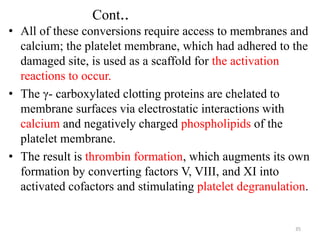 Cont..
• All of these conversions require access to membranes and
calcium; the platelet membrane, which had adhered to the
damaged site, is used as a scaffold for the activation
reactions to occur.
• The γ- carboxylated clotting proteins are chelated to
membrane surfaces via electrostatic interactions with
calcium and negatively charged phospholipids of the
platelet membrane.
• The result is thrombin formation, which augments its own
formation by converting factors V, VIII, and XI into
activated cofactors and stimulating platelet degranulation.
35
 