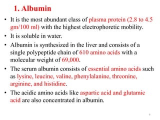1. Albumin
• It is the most abundant class of plasma protein (2.8 to 4.5
gm/100 ml) with the highest electrophoretic mobility.
• It is soluble in water.
• Albumin is synthesized in the liver and consists of a
single polypeptide chain of 610 amino acids with a
molecular weight of 69,000.
• The serum albumin consists of essential amino acids such
as lysine, leucine, valine, phenylalanine, threonine,
arginine, and histidine.
• The acidic amino acids like aspartic acid and glutamic
acid are also concentrated in albumin.
6
 