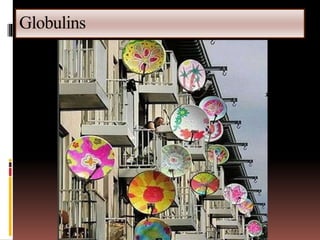 Globulins
 