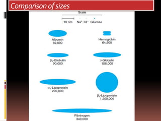 Comparisonofsizes
 