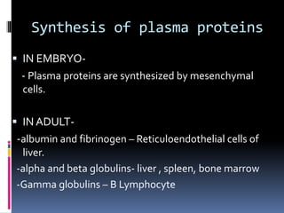 Synthesis of plasma proteins
 IN EMBRYO-
- Plasma proteins are synthesized by mesenchymal
cells.
 IN ADULT-
-albumin and fibrinogen – Reticuloendothelial cells of
liver.
-alpha and beta globulins- liver , spleen, bone marrow
-Gamma globulins – B Lymphocyte
 