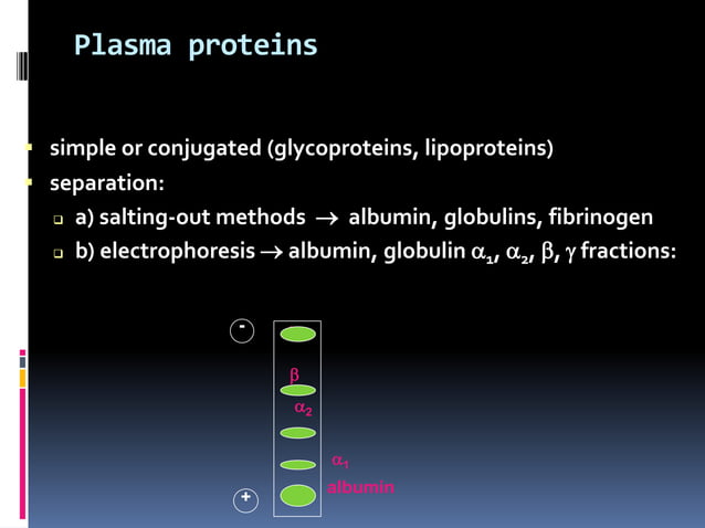 Plasma proteins | PPT