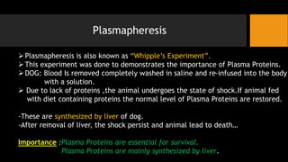 Plasmapheresis
➢Plasmapheresis is also known as “Whipple’s Experiment”.
➢This experiment was done to demonstrates the importance of Plasma Proteins.
➢DOG: Blood Is removed completely washed in saline and re-infused into the body
with a solution.
➢ Due to lack of proteins ,the animal undergoes the state of shock.If animal fed
with diet containing proteins the normal level of Plasma Proteins are restored.
-These are synthesized by liver of dog.
-After removal of liver, the shock persist and animal lead to death…
Importance :Plasma Proteins are essential for survival.
Plasma Proteins are mainly synthesized by liver.
 